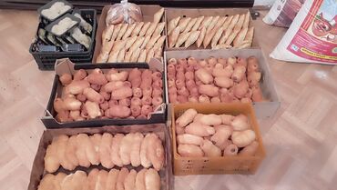 Выпечка, хлебобулочные изделия: Пирожки сосиски в тесте (жареные печенные) беляши самсы курники — 11