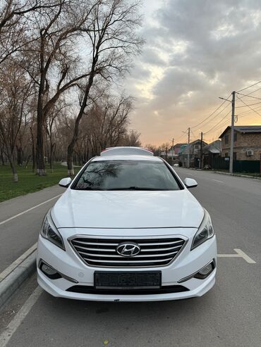 koljaska golden baby: Hyundai Sonata: 2016 г., 2 л, Автомат, Газ