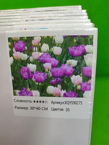коокор раскраска: Картина по номерам для рисования детей и взрослых в ассортименте🖼️ — 2