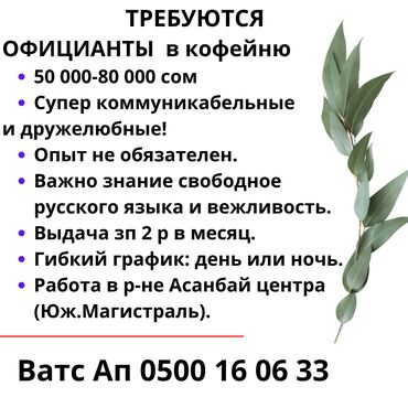 Официанты: Требуется Официант Без опыта, Оплата Дважды в месяц