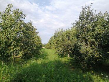 Torpaq sahələrinin satışı: 12 sot, Tikinti, Mülkiyyətçi, Kupça (Çıxarış) -da lalafo.az — 10 Torpaq sahələrinin satışı: 12 sot, Tikinti, Mülkiyyətçi, Kupça (Çıxarış) — 10