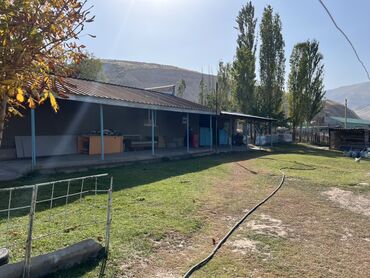 Продажа домов: Дом, 180 м², 4 комнаты, Собственник, Дизайнерский ремонт — 4