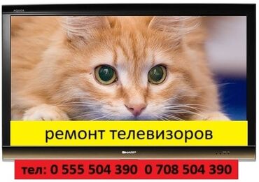 рация для охоты: Ремонт Телевизоры С горатией С выездом на дом Радиотелеателье Импульс