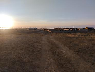 продаю дом дордой 1: Farm КРС, 52 соток, Скважина — 2