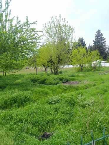 Torpaq sahələrinin satışı: 62 sot, Biznes üçün, Mülkiyyətçi, Kupça (Çıxarış) — 5