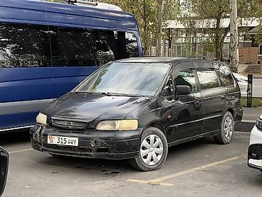Honda Odyssey: 1996 г., 2.2 л, Автомат, Минивэн at lalafo.kg Honda Odyssey: 1996 г., 2.2 л, Автомат, Минивэн