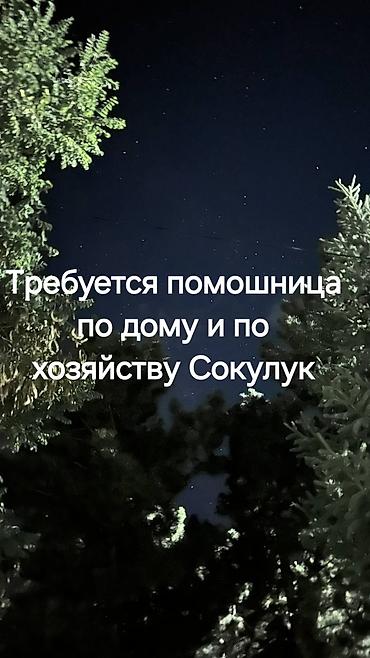 сиделка круглосуточно: Ищу помошницу по дому проживание питание бесплатно оплата договорная — 1