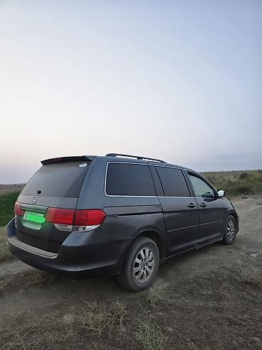 аварийная одиссей: Honda Odyssey: 2010 г., 3.5 л, Автомат, Бензин, Минивэн — 4