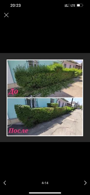 Дворники, садовники: 🌱Я Садовник приходящий раз в неделю Стрижка живой — 4