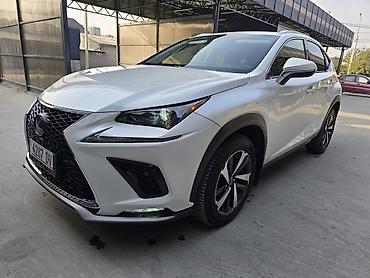 kawasaki ninja: Lexus NX: 2019 г., 2 л, Автомат, Бензин, Кроссовер — 1