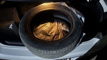 грузовые шины 17 5: Шины 215 / 55 / R 17, Лето, Легковые, Италия, Pirelli