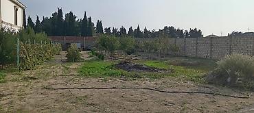 damci suvarma: Torpag sahesi:12 sot, paket kupca 7 sot kupcaya daxil,5 sot elave - — 3