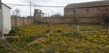 Torpaq sahələrinin satışı: 34 sot, Tikinti, Mülkiyyətçi, Kupça (Çıxarış) -da lalafo.az — 2 Torpaq sahələrinin satışı: 34 sot, Tikinti, Mülkiyyətçi, Kupça (Çıxarış) — 2