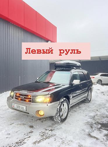 Subaru: Subaru Forester: 2004 г., 2.5 л, Типтроник, Газ, Внедорожник — 1