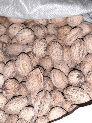 грецкий орех в кыргызстане: Орех, большие плоды, легко колется, не ковырялки. Чоон, чон жангак