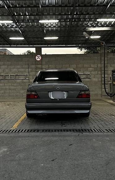 Mercedes-Benz: Mercedes-Benz W124: 1993 г., 4.2 л, Автомат, Бензин, Седан — 4