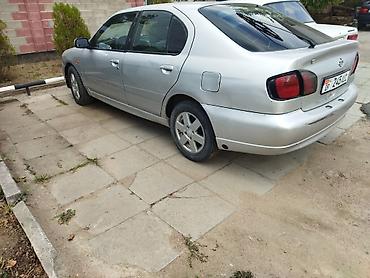 santa crus: Nissan Primera: 2001 г., 1.6 л, Механика, Бензин, Хэтчбэк — 3