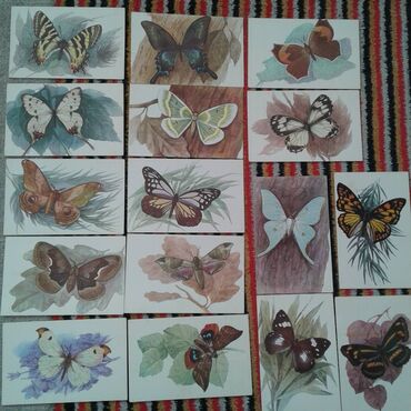 Açıqcalar: К вниманию коллекционеров советских товаров. Продам наборы открыток — 29