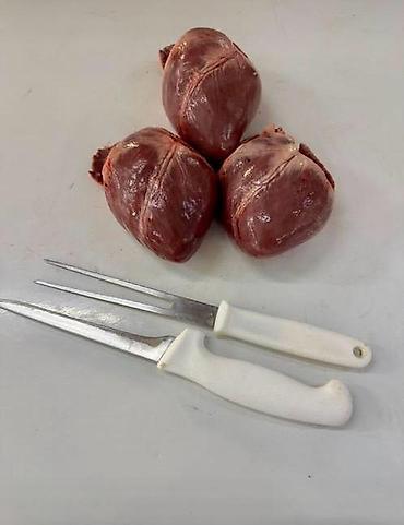 Свинина: ______продажа мяса свинины____ доброго время уважаемые клиенты — 16