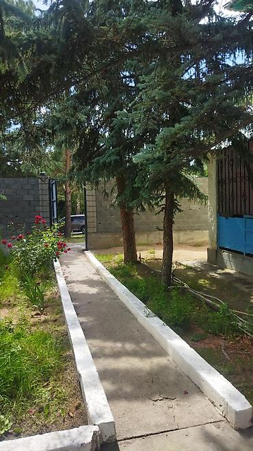 Гостевые дома на Иссык-Куле: Гостевой дом на Иссык-Куле, ПРОГРЕСС Чок-Тал, 2 места — 1