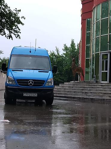 Mercedes-Benz: Mercedes-Benz Sprinter yük/miniven - Kuzov: Uzun baza, yüksək — 6