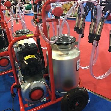 Товары и оборудование для с/х животных: Түркиянын уй саан аппараттары сатылат. Çırpanbey заводунун расмий — 8