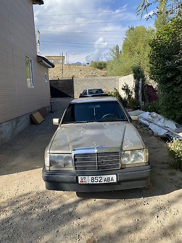 evo 2: Mercedes-Benz E-Class: 1990 г., 2.3 л, Механика, Бензин, Седан — 1