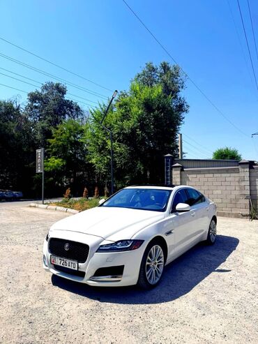 купить машины: Jaguar XF: 2020 г., 2 л, Автомат, Бензин, Седан