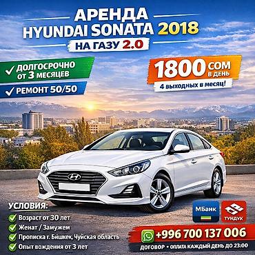 ✅Основные условия сотрудничества: Авто сдаются на долгий срок. От 3х