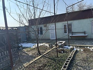 Долгосрочная аренда домов: 45 м², 3 комнаты — 13