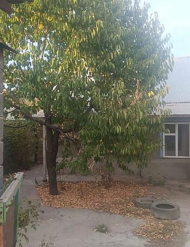 купить дом нижний аларча: 3 комнаты, 80 м², 4 соток, Аламедин (ГЭС-2) — 1