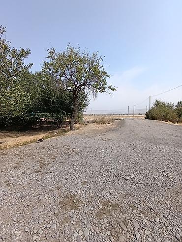 Продажа коттеджей и домов: Продается дом, 5 комнат, 49 СОТОК 📌В селе Беловодское продается — 20