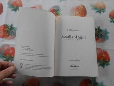 Knjige i stripovi: Svetski bestseleri /romani
izdanje Vulkan
stanje očuvane jako dobro — 8