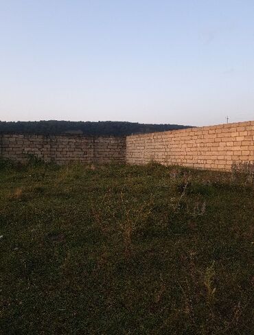 Torpaq sahələrinin satışı: 15 sot, Kənd təsərrüfatı, Mülkiyyətçi, Kupça (Çıxarış) — 33