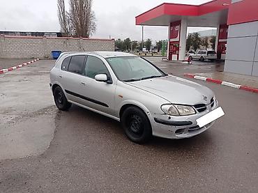 Nissan: Nissan Almera: 2002 г. — 6