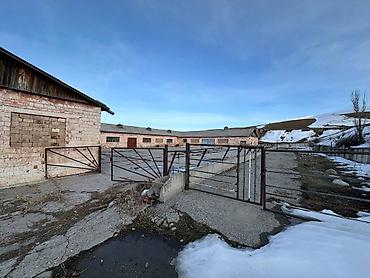 ферма скотник: Farm КРС, 88 соток, Электричество, Холодная вода — 5