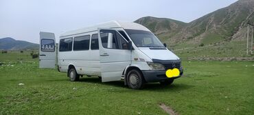 sprinter passazhirskii: Mercedes-Benz Sprinter: 2003 г., 2.9 л, Механика, Дизель, Бус