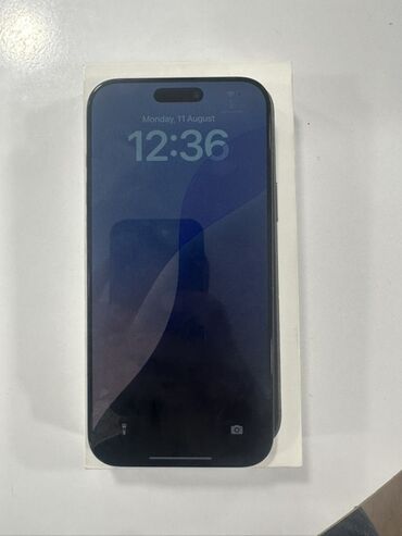IPhone 16 Pro Max, 256 GB, Black Titanium, Face ID