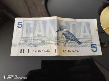 kohne pullarin satisi: 5$ Canada dolları. 1986 ilin Ottawa köhnə əskinaslar
