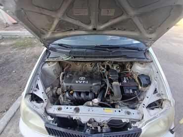 Toyota: Toyota Vitz / Platz / Yaris / Echo: 2001 г., 1.5 л, Автомат, Бензин, Седан — 2