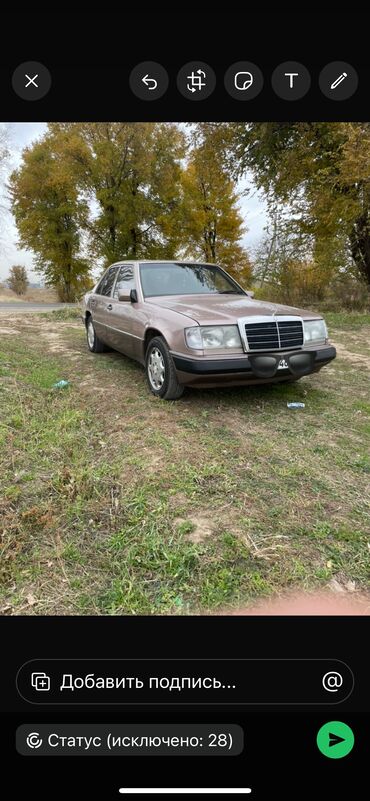 мерс 124 амг: Mercedes-Benz W124: 1993 г., 2 л, Механика, Бензин, Седан