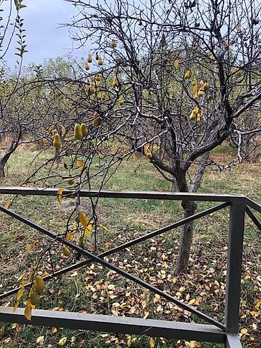 Продажа коттеджей и домов: Продается участок с новым двухэтажным домом 🏡 ПСО 📍 Местоположение — 10