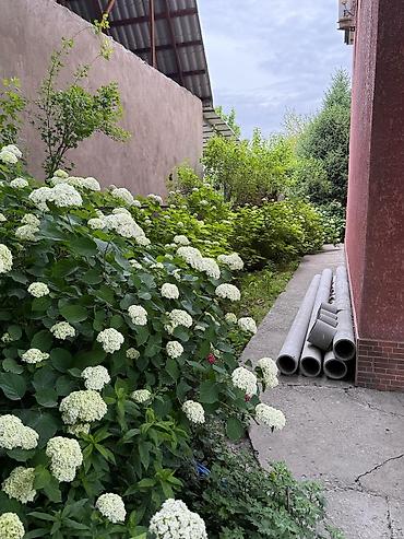 Продажа коттеджей и домов: Продаю дом Свердловский район, Жил Массив Бакай-Ата Дом из жженого — 3