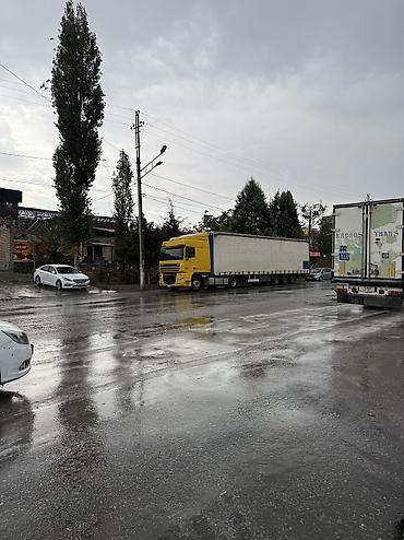 оптим: Тягач, DAF, 2013 г., Тентованный — 5