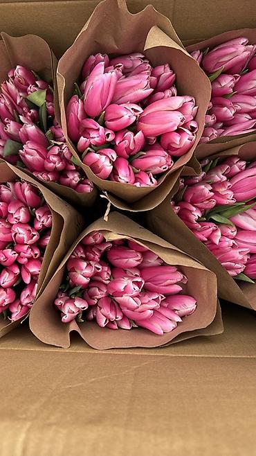 Букеты из живых цветов: Тюльпаны упаковки в крафт-бумаге - Разнообразие окрасов — 4