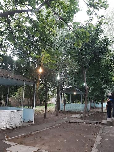 restoran hostes vakansiya: Nərgiz kafesine ofsiyant xanım teleb olnur maaş 30 azn +yimək çayavoy — 9