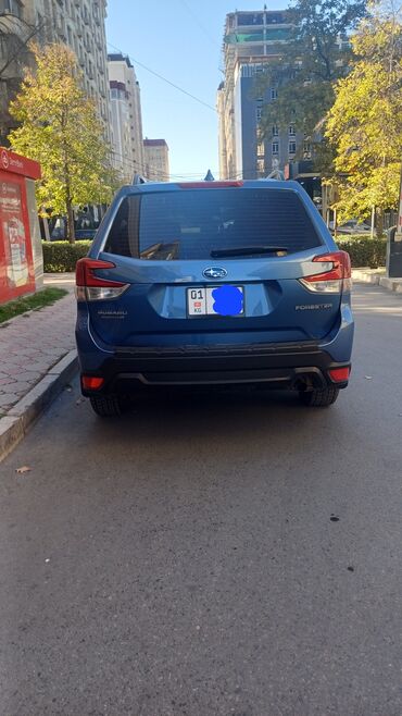 субару красовер: Subaru Forester: 2019 г., 2.5 л, Вариатор, Бензин, Кроссовер