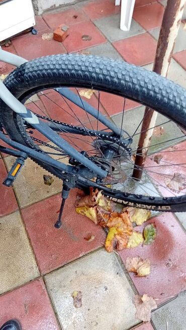 велосипеды trinx бишкек: İşlənmiş Şəhər velosipedi 29", sürətlərin sayı: 1