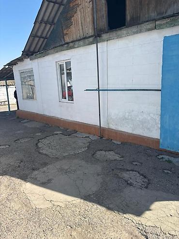 Продажа коттеджей и домов: Продаётся одноэтажный дом с просторным двором и хозяйственными — 2