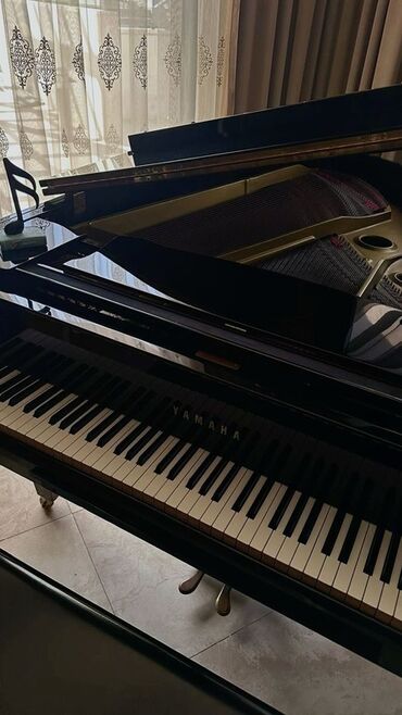 достучаться до сердец асель мелик читать: 🎹🎶 Уроки фортепиано и флейты для детей ⠀ Приглашаю ваших деток на